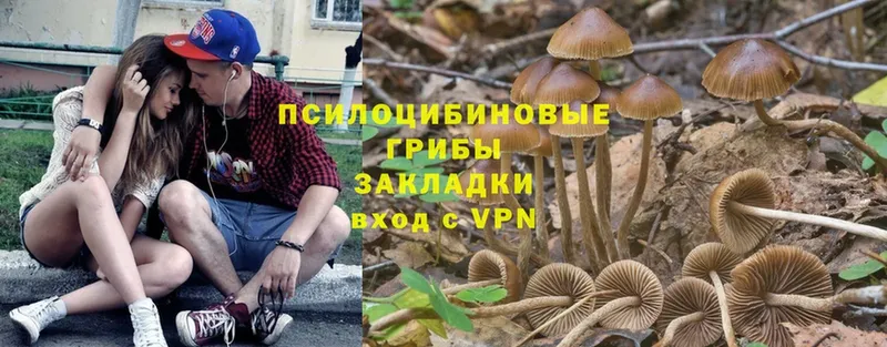 kraken ONION  Костерёво  Галлюциногенные грибы Magic Shrooms  купить наркоту 